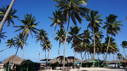 Naklejka premium caribbean beach