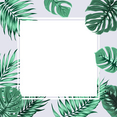 Exotic tropical rectangle square border frame element decorated with green jungle rain forest tree branch leaves on grey background. White placeholder in the middle. Vector design illustration.