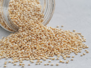 Grain of quinoa in bank on gray background