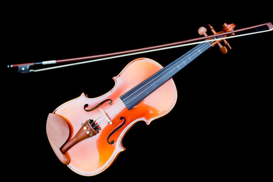close-up violin