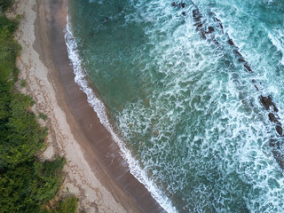 Wild beach on pacific ocean