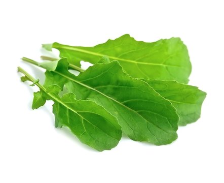 Arugula salad .
