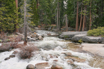 A wild stream in Yosemite National Park