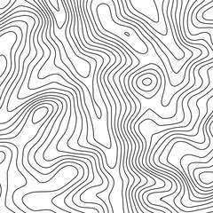 Topographic map background with space for copy . Line topography map contour background , geographic grid abstract vector illustration . Abstract geometric lines .