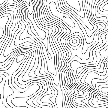 Topographic map background with space for copy . Line topography map contour background , geographic grid abstract vector illustration . Abstract geometric lines . © RDVector