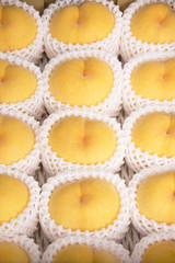 fresh peaches in packed