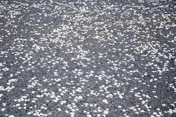 road surface texture