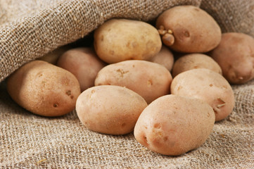 Fototapeta premium pile of potatoes