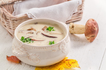 Tasty boletus cream with mushrooms and parsley