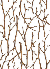 Seamless texture of twigs