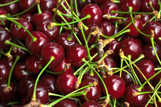 Closeup of cherries for background/texture