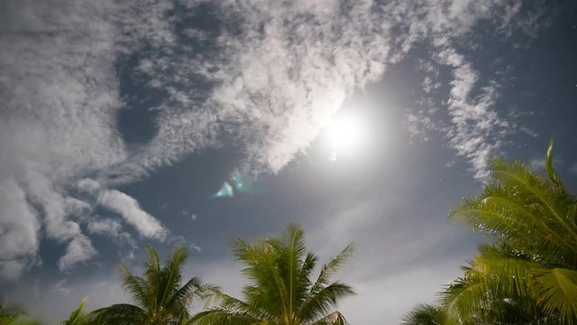 4K-  time-lapse moon rise and clouds over tropical palm trees jungle 