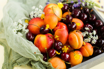 Naklejka na ściany i meble The harvest of fruits and berries