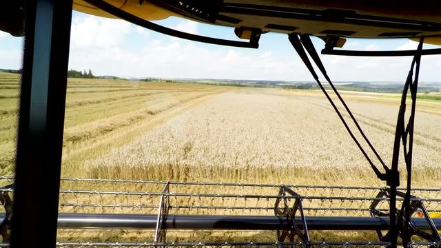 Farmer yellow combine harvester on field. Harvesting mowing ripe wheat in sunny summer. Point of view from Harvester cabin. Agriculture summer concept