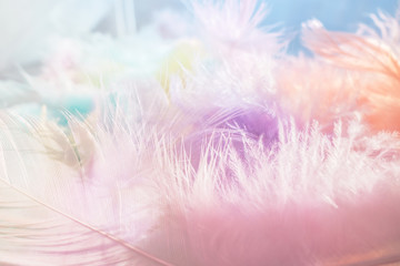 Soft multicolor feather background