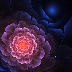 Light fractal flower on dark background, digital artwork for cre