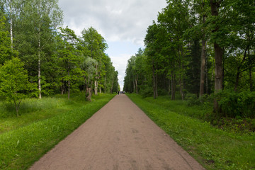 Park Avenue, Alexander Park of Tsarskoye Selo