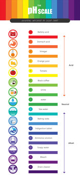 The PH Scale Universal Indicator PH Color Chart Diagram