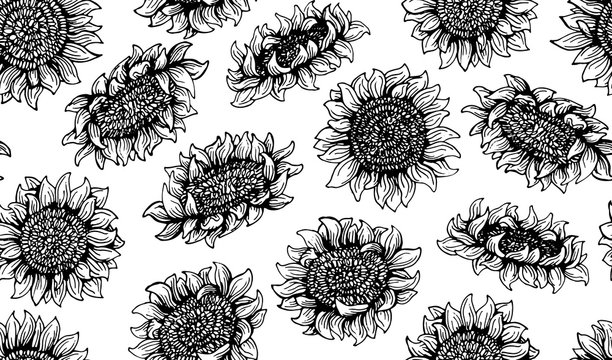 seamless pattern Graphic sunflower and sunflower seeds