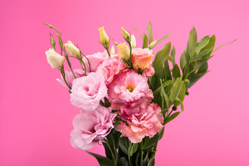 Close-up view of beautiful blooming flowers and buds with green leaves isolated on pink