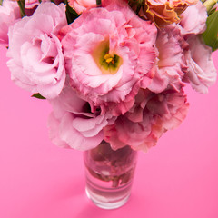 Close-up view of beautiful tender pink eustoma flowers bouquet in vase isolated on pink