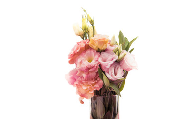Close-up view of beautiful bouquet of tender pink flowers in vase isolated on white