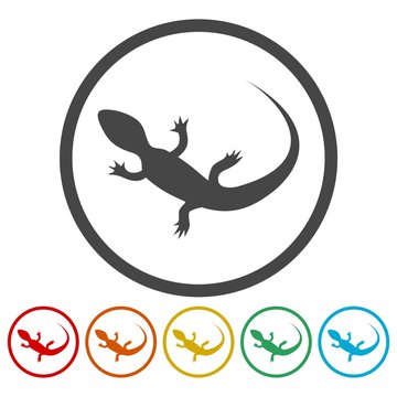 Lizard icons set vector - Illustration 
