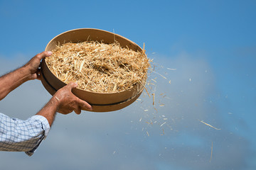 Old sieve for sifting flour and wheat,farmer sifts grains during harvesting time to remove chaff