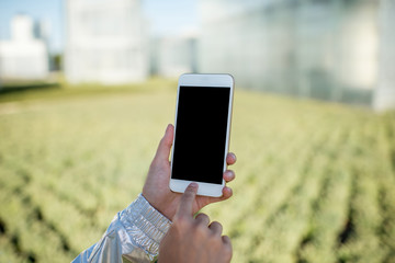 Woman holding a smart phone with blank screen on the modern hydroponic green house background