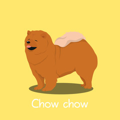 An illustration depicting a cute Chow chow dog cartoon.vector