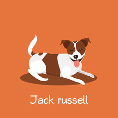 An illustration depicting a cute Jack russell dog cartoon.vector