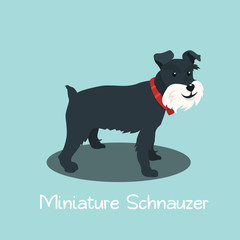 An illustration depicting Miniature Schnauzer dog cartoon.vector