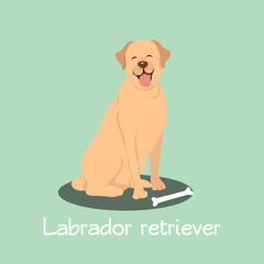 An illustration depicting Labrador retriever dog cartoon.vector
