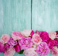 beautiful garden roses on turquoise wooden surface