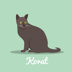 Korat cute cat with green eyes illustration design.vector