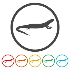 Lizard icons set vector - Illustration 