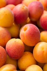 Fototapeta na wymiar ripe apricots