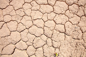 cracked earth