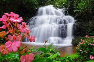Obrazy na Szkle  Wodospad Mandang, tajlandia, kwiat