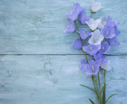 Fototapeta blue bell flowers on turquoise wooden surface