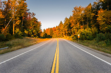Empty Two Lane Highway through a Forest at Sunset