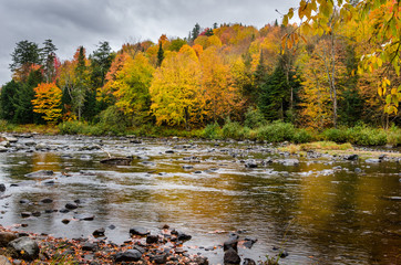 Obraz premium Autumn Colours Along the Ausable River in the Adirondacks, NY, on a Rainy Day