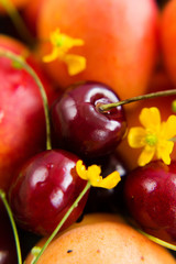 Fruits and berries in the drawer (close-up)
