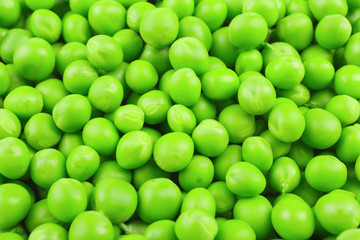 Fresh green peas as background