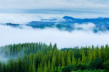 The morning fog Mountain View in Thailand.