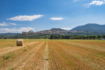 Veduta di Assisi