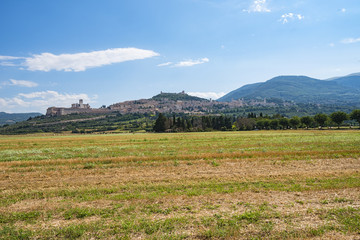 Fototapeta na wymiar Veduta di Assisi