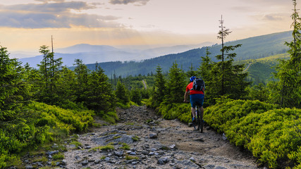 Mountain biker riding on bike in summer mountains forest landscape. Man cycling MTB flow trail...