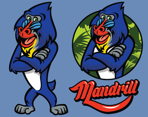 set of cartoon mandrill monkey character