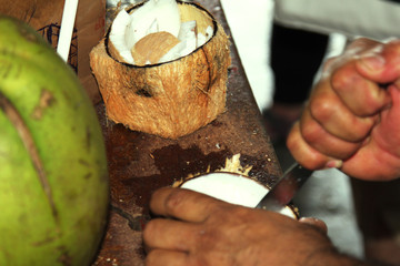 vendita e taglio noce di cocco